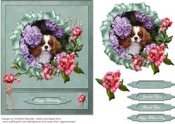 Cavalier King Charles Spaniel