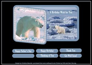Arctic Polar Bear