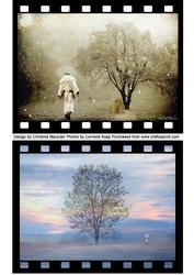 Mystic Winter Indian Backgrounds