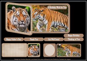 Siberian Tiger