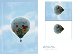Hot Air Balloon