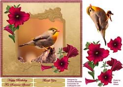 Beautiful Bird