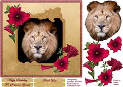 Lion Portrait