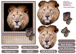 Lion Portrait