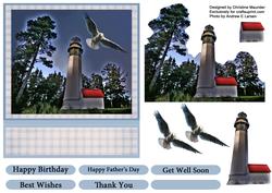 Lighthouse and Seagull