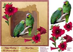 Ecuadorian Parrots