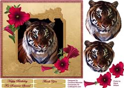 Beautiful Tiger