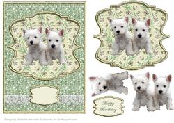 Westie Pups