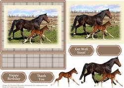 Mum and Foal