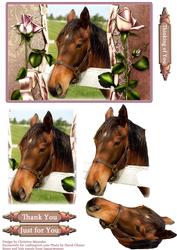 Horse Portrait
