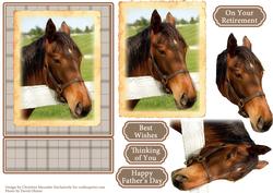 Horse Portrait 2