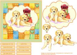 Labrador Puppies