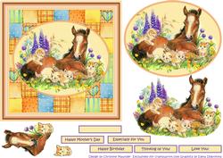 Foal and Kittens