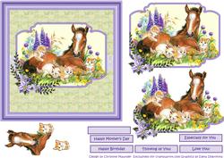 Foal, Kittens and Flowers