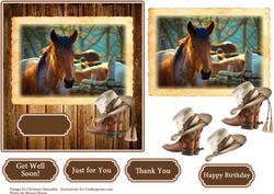 Western Pony