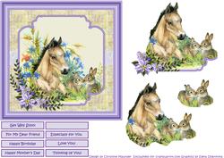 Foal and Bunnies
