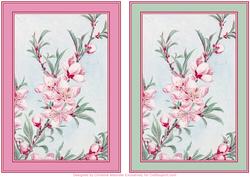 Blossom Flowers Backgrounds