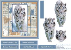 See the World - White Tiger