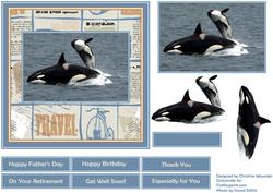 See the World - Whales