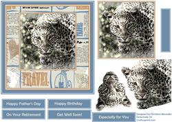 See the World - Leopard on the Prowl