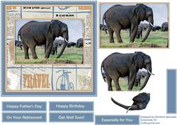 See the World - Elephants