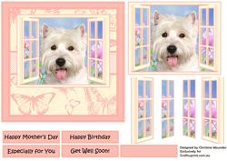 Westie in the Window.