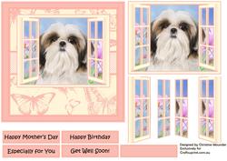 Shih Tzu in the Window