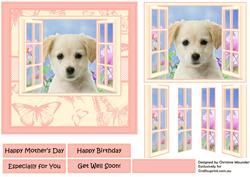Labrador Puppy in the Window