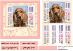 Cocker Spaniel Puppy in the Window