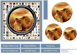 Through the Lens - Lion and Lioness