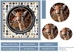 Through the Lens - Baby Giraffe