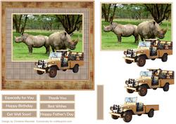 Safari Rhinos