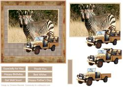 Safari Zebras