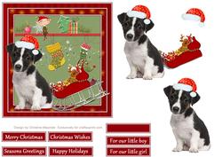 Christmas with Jack Russell Puppy