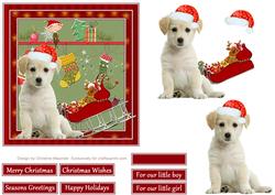 Christmas with Labrador Puppy
