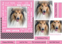Collie - Dog Lover