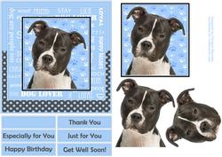 Staffie Dog Lover