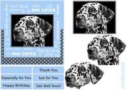 Dalmatian Dog Lover