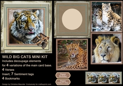 Big Wild Cats Mini Kit