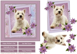 Love my Westie