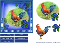 Beautiful Rooster