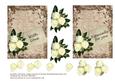 White Roses on Vintage Lace 2