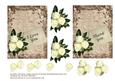 White Roses on Vintage Lace 3