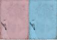 Vintage Bird Backing Sheets
