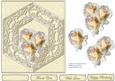 White Roses on Cream Lace