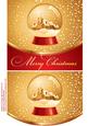 Christmas Snow Globe - Envelope Card