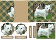 Love Westies - Back Fold No Hold Card