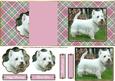 Westie No Hole Fold Back