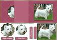 Westie No Hole Fold Back - Mauve