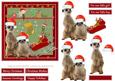 Christmas with Meerkats